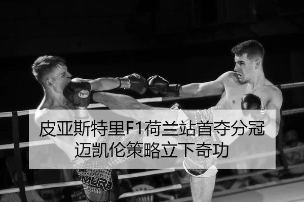 pi-ya-si-te-li-he-lan-zhan-shou-duo-fen-guan-mai-kai-lun-ce-lve-li-xia-qi-gong-2-737.jpg